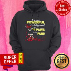 Nice Dog The Most Powerful Antidepressant Has Paws And A Purr Hoodie