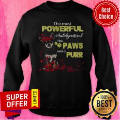 Nice Dog The Most Powerful Antidepressant Has Paws And A Purr Sweatshirt