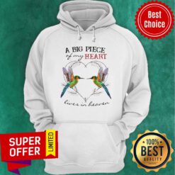 Nice Hummingbird A Big Piece Of My Heart Lives In Heaven Hoodie