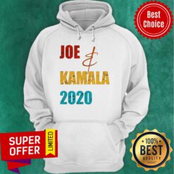 Nice Joe Biden And Kamala Harris 2020 Election Hoodie