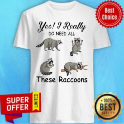 Nice Yes I Really Do Need All These Raccoons Shirt