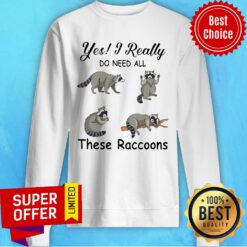 Nice Yes I Really Do Need All These Raccoons Sweatshirt