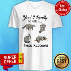 Nice Yes I Really Do Need All These Raccoons V-neck