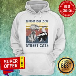 Premium Racoon Support Your Local Street Cats Vintage Hoodie