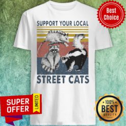 Premium Racoon Support Your Local Street Cats Vintage Shirt