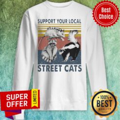 Premium Racoon Support Your Local Street Cats Vintage Sweatshirt