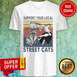 Premium Racoon Support Your Local Street Cats Vintage V-neck