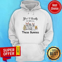 Premium Yes I Really Do Need All These Bunnie Hoodie