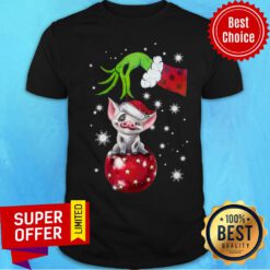 Nice The Grinch Hand Holding Santa Pig Shirt