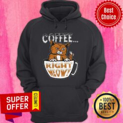 Official Coffee Right Meow Hoodie
