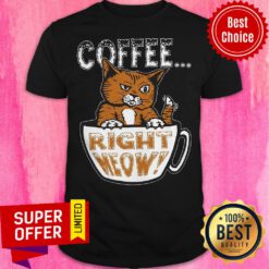 Official Coffee Right Meow Shirt