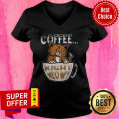 Official Coffee Right Meow V-neck