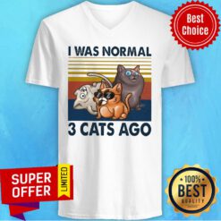 Official I Was Normal 3 Cats Ago V-neck