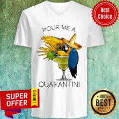 Premium Pour Me A Quarantine V-neck