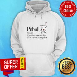 Top Pitbull The Glue Holding This 2020 Shitshow Together Hoodie