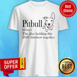 Top Pitbull The Glue Holding This 2020 Shitshow Together Shirt