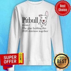 Top Pitbull The Glue Holding This 2020 Shitshow Together Sweatshirt
