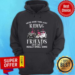 We're More Than Just Riding Friends We're Like A Really Small Gang Hoodie