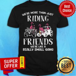 We're More Than Just Riding Friends We're Like A Really Small Gang Shirt