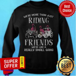 We're More Than Just Riding Friends We're Like A Really Small Gang Sweatshirt