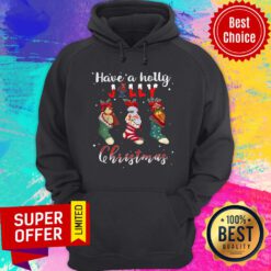Funny Santa Shoes Have A Holly Jolly Christmas Hoodie