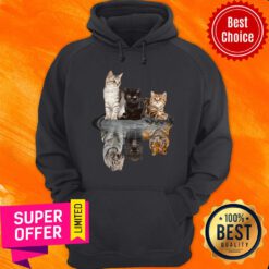 Funny The Cats Water Mirror Reflection Tigers Hoodie