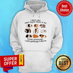 I Don't Care What Anyone Thinks Of Me Except Guinea Pigs I Want Guinea Pigs To Like Me Hoodie