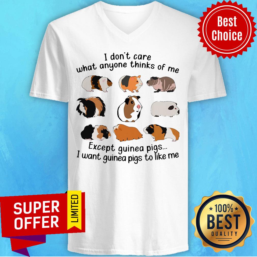 i-dont-care-what-anyone-thinks-of-me-except-guinea-pigs-i-want-guinea-pigs-tov-neck I Don't Care What Anyone Thinks Of Me Except Guinea Pigs I Want Guinea Pigs To Like Me V-neck