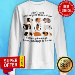 I Don't Care What Anyone Thinks Of Me Except Guinea Pigs I Want Guinea Pigs To Like Me Sweatshirt