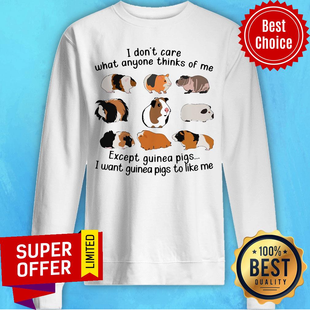 i-dont-care-what-anyone-thinks-of-me-except-guinea-pigs-i-want-guinea-pigsweatshirt I Don't Care What Anyone Thinks Of Me Except Guinea Pigs I Want Guinea Pigs To Like Me Sweatshirt