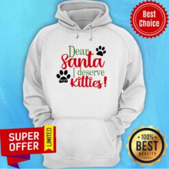 Nice Dear Santa I Deserve Kitties Hoodie