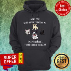 Nice I Don’t Care What Anyone Thinks Of Me Except Frenchie I Want Frenchie To Like Me Hoodie