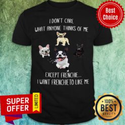 Nice I Don’t Care What Anyone Thinks Of Me Except Frenchie I Want Frenchie To Like Me Shirt