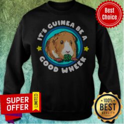 Nice It’s Guinea Be A Good Wheek Sweatshirt