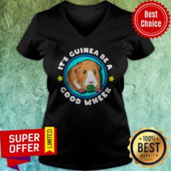 Nice It’s Guinea Be A Good Wheek V-neck