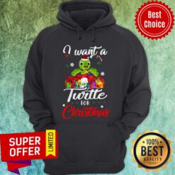 Premium I Want A Turtles For Christmas Hoodie