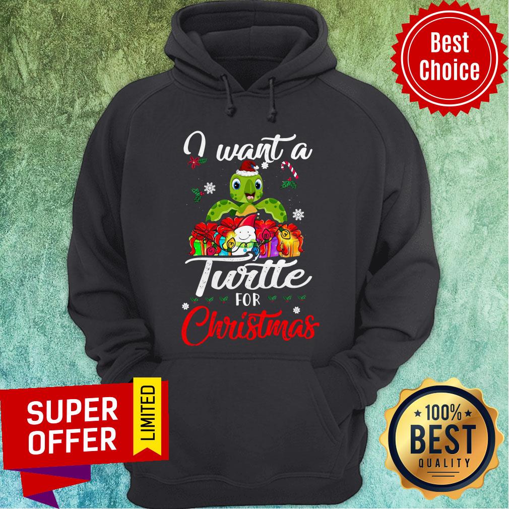 Premium I Want A Turtles For Christmas Shirt Premium I Want A Turtles For Christmas Hoodie