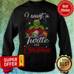Premium I Want A Turtles For Christmas Sweatshirt