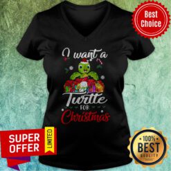 Premium I Want A Turtles For Christmas V-neck
