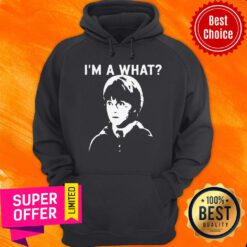 Premium I’m A What Haripotter Hoodie