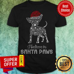 Top Chihuahua Santa I Believe In Santa Paws Diamond Christmas Shirt