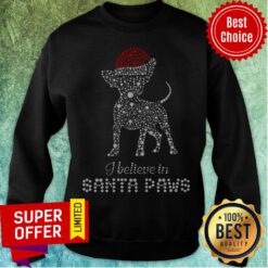 Top Chihuahua Santa I Believe In Santa Paws Diamond Christmas Sweatshirt