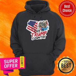 This Is Trump Country Supporter Arizona Political American Flag Hoodie