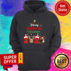 Top Merry Quarantine Christmas 2020 Hoodie