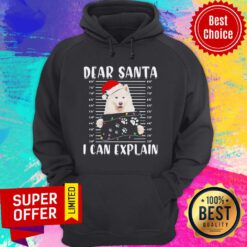 Funny Dear Santa I Can Explain Light Christmas Hoodie