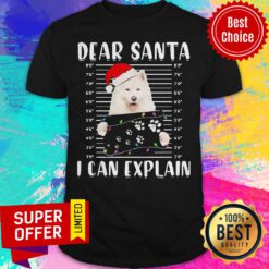 Funny Dear Santa I Can Explain Light Christmas Shirt