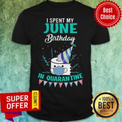 Funny I Spent My June Birthday In Quarantine Shirt