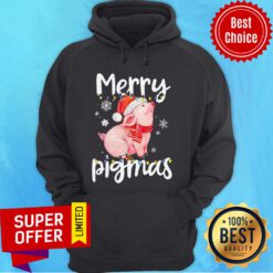 Funny Merry Pigmas Christmas Light Hoodie