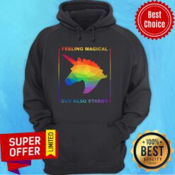 Nice LGBT Unicorn Feeling Magical But Also Stabby Hoodie