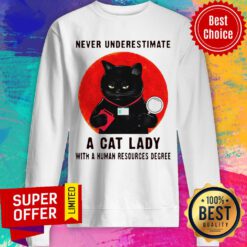 Nice Never Underestimate A Cat Lady With A Human Resources Degree Sweatshirt